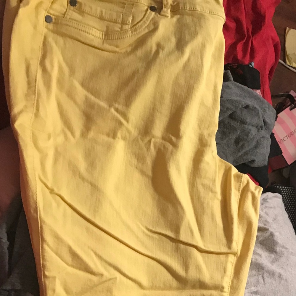 Torrid Jegging Jean